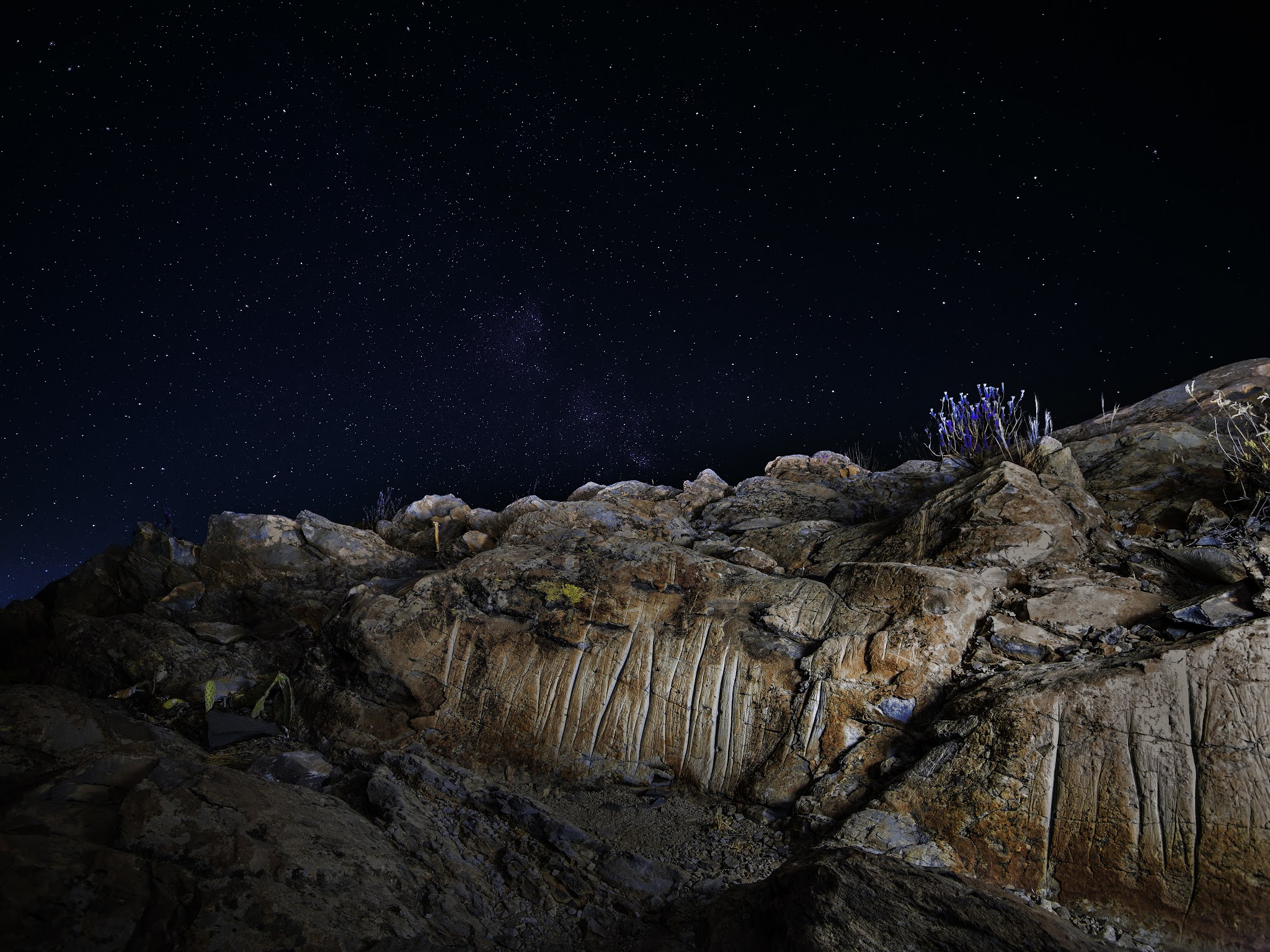 Grabados en Aripe (Tenerife) / Tarek Ode