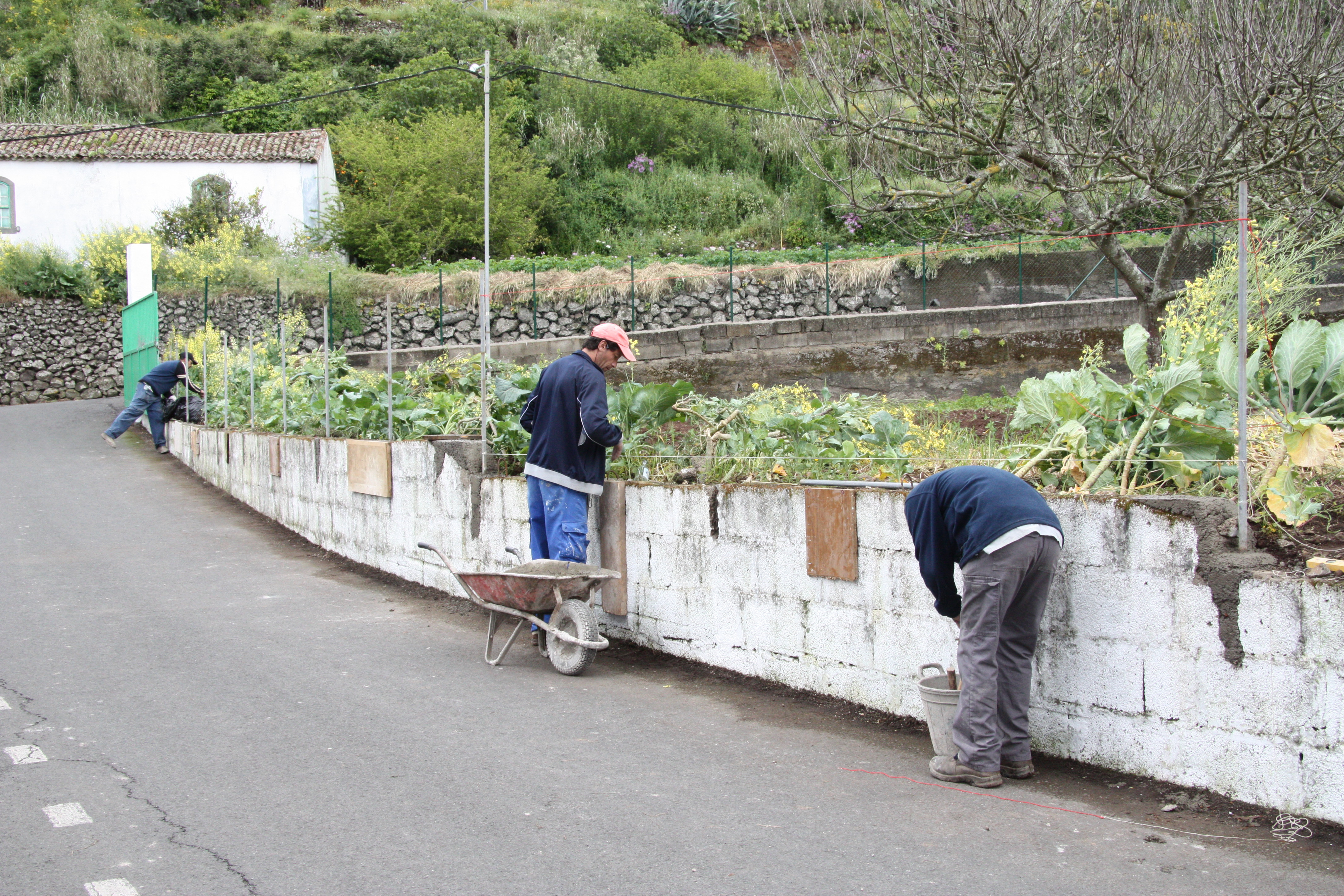 Trabajadores del Programa Extraordinario de Empleo Social de Valleseco (Gran Canaria) / CanariasNoticias.es