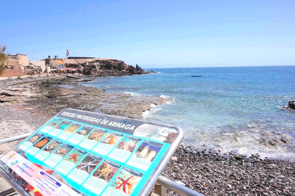 Playa de Arinaga en Agüimes (Gran Canaria) / CanariasNoticias.es Playa de Arinaga en Agüimes (Gran Canaria) / CanariasNoticias.es