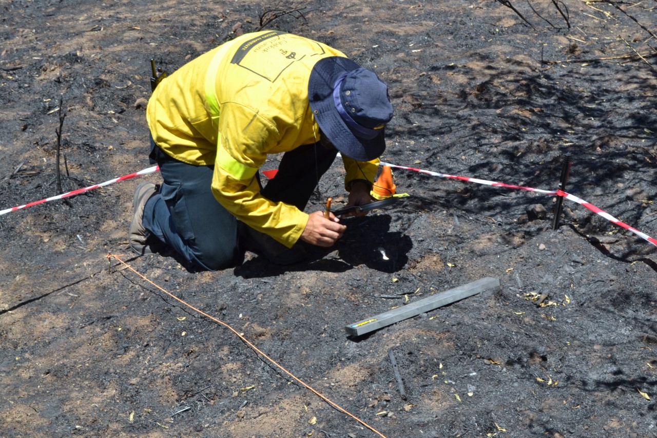 Incendio de Arico/ canariasnoticias