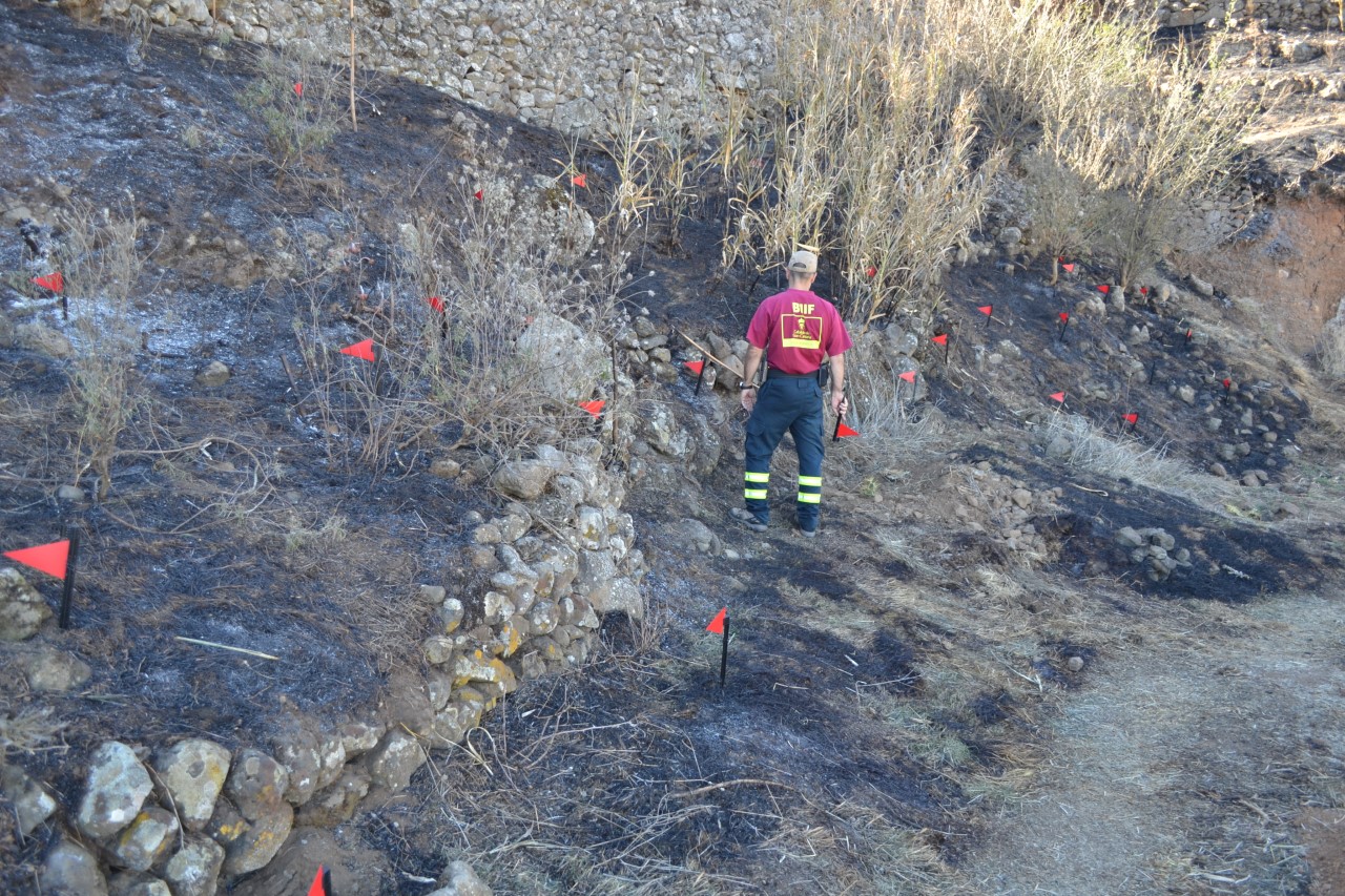 Incendio de Arico/ canariasnoticias