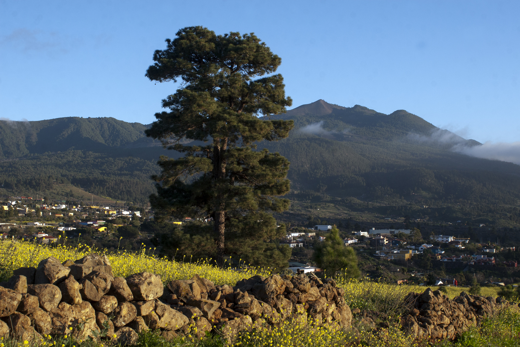 Reserva de la Biosfera de Canarias Reserva de la Biosfera de Canarias