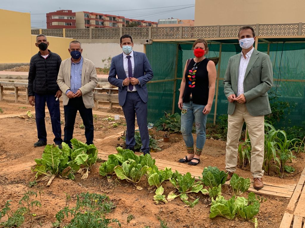 Huerto escolar en el Colegio de La Garita en Telde (Gran Canaria) / CanariasNoticias.es