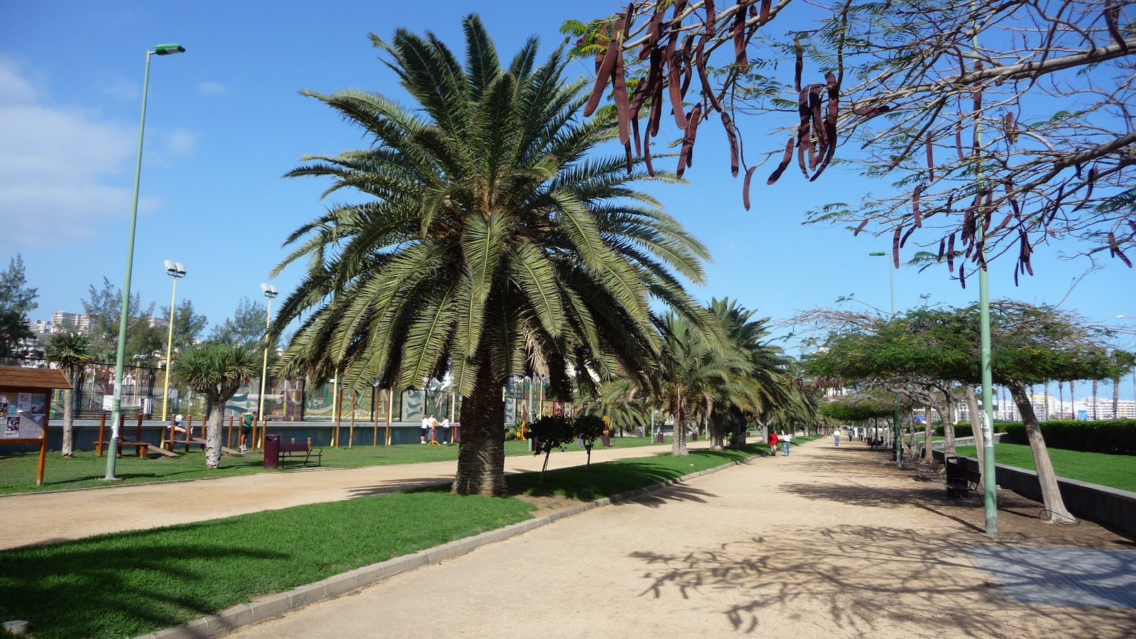 Parque Romano. Las Palmas de Gran Canaria/ canariasnoticias Parque Romano. Las Palmas de Gran Canaria/ canariasnoticias
