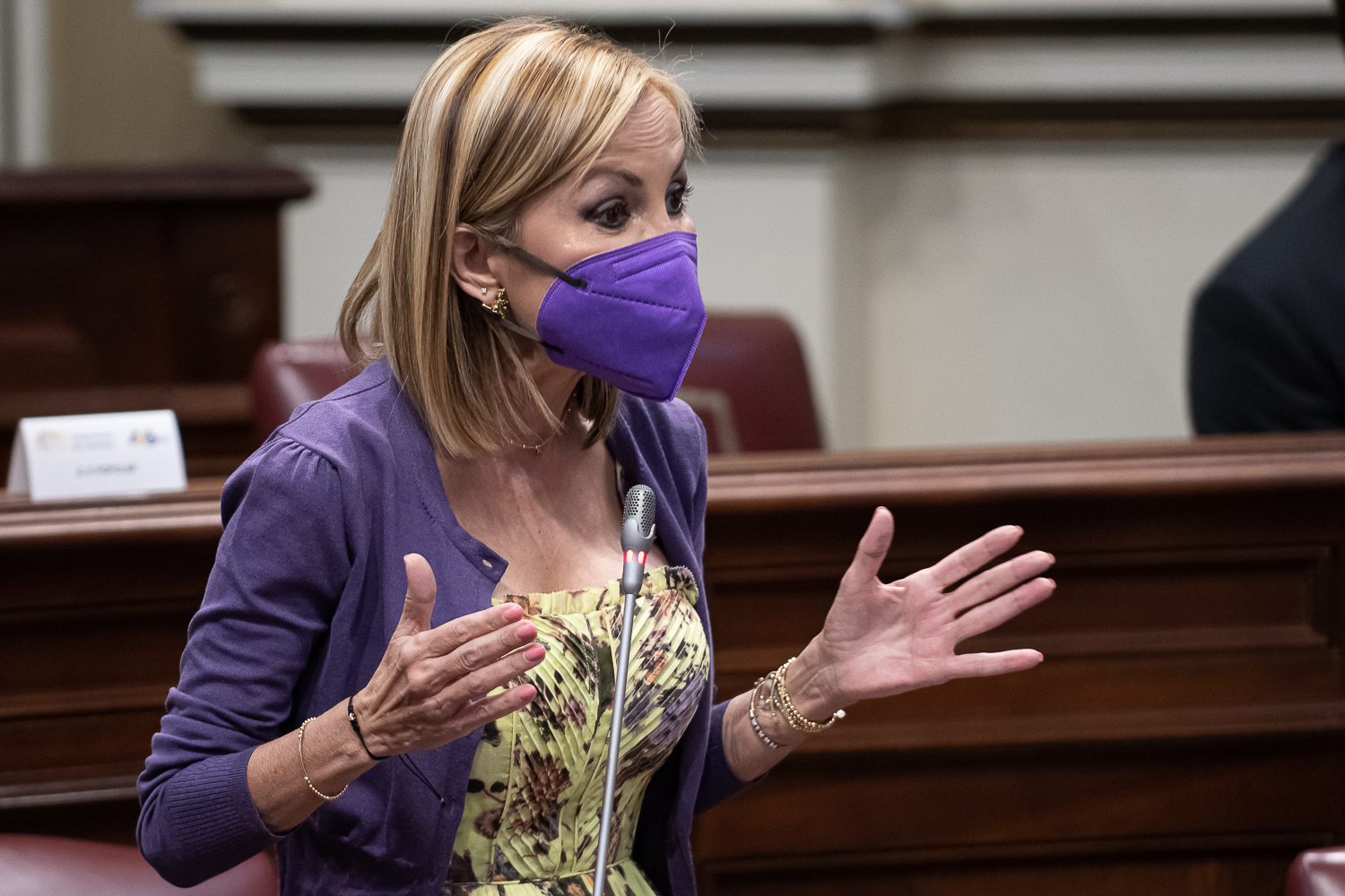 Australia Navarro, Presidenta del Partido Popular de Canarias / CanariasNoticias.es Australia Navarro, Presidenta del Partido Popular de Canarias / CanariasNoticias.es