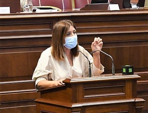 Carmen Hernández en el Parlamento de Canarias / CanariasNoticias.es Carmen Hernández en el Parlamento de Canarias / CanariasNoticias.es