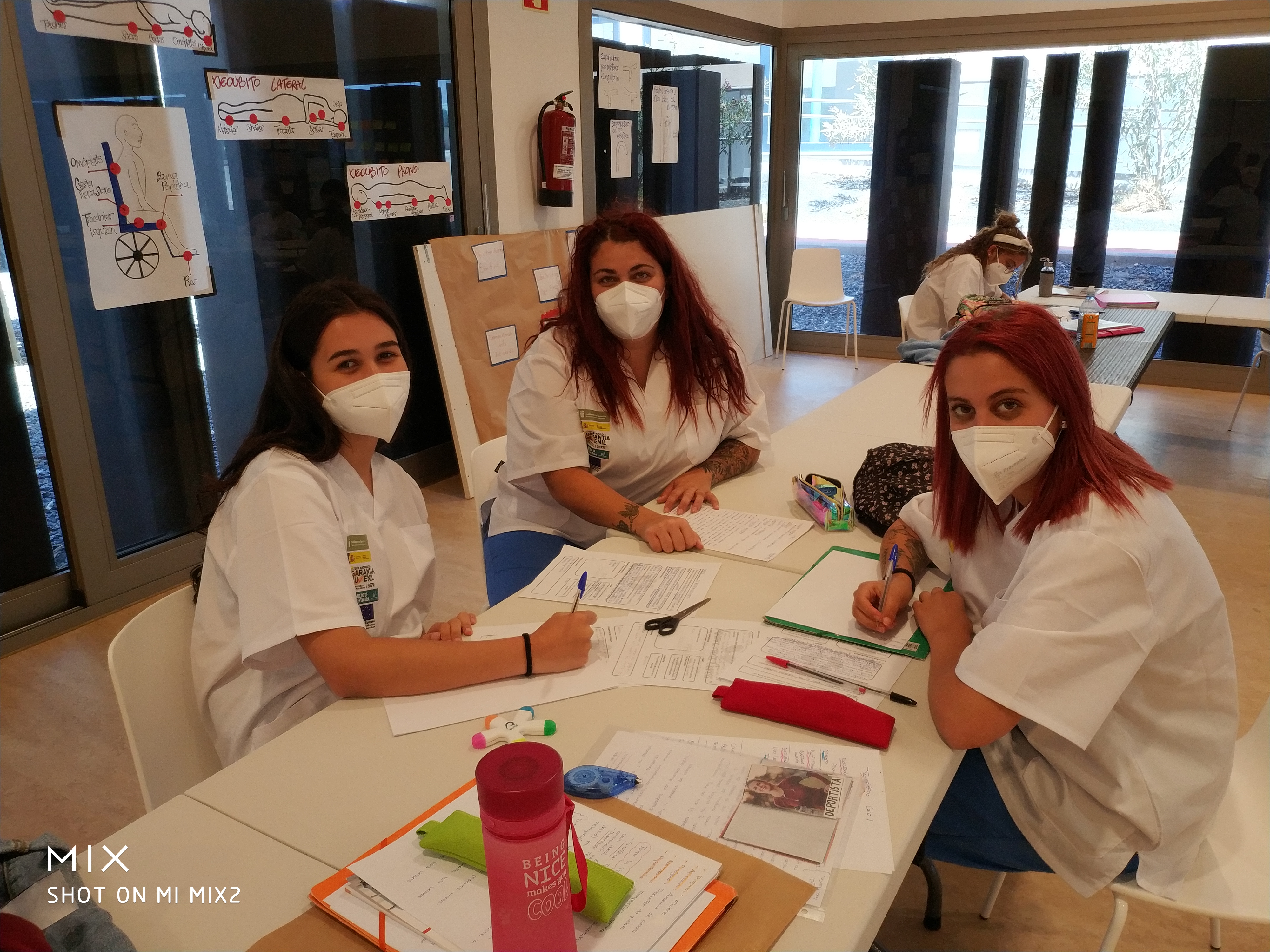 Programa de Formación en Alternancia con el Empleo-Garantía Juvenil del Cabildo de Fuerteventura / CanariasNoticias.es