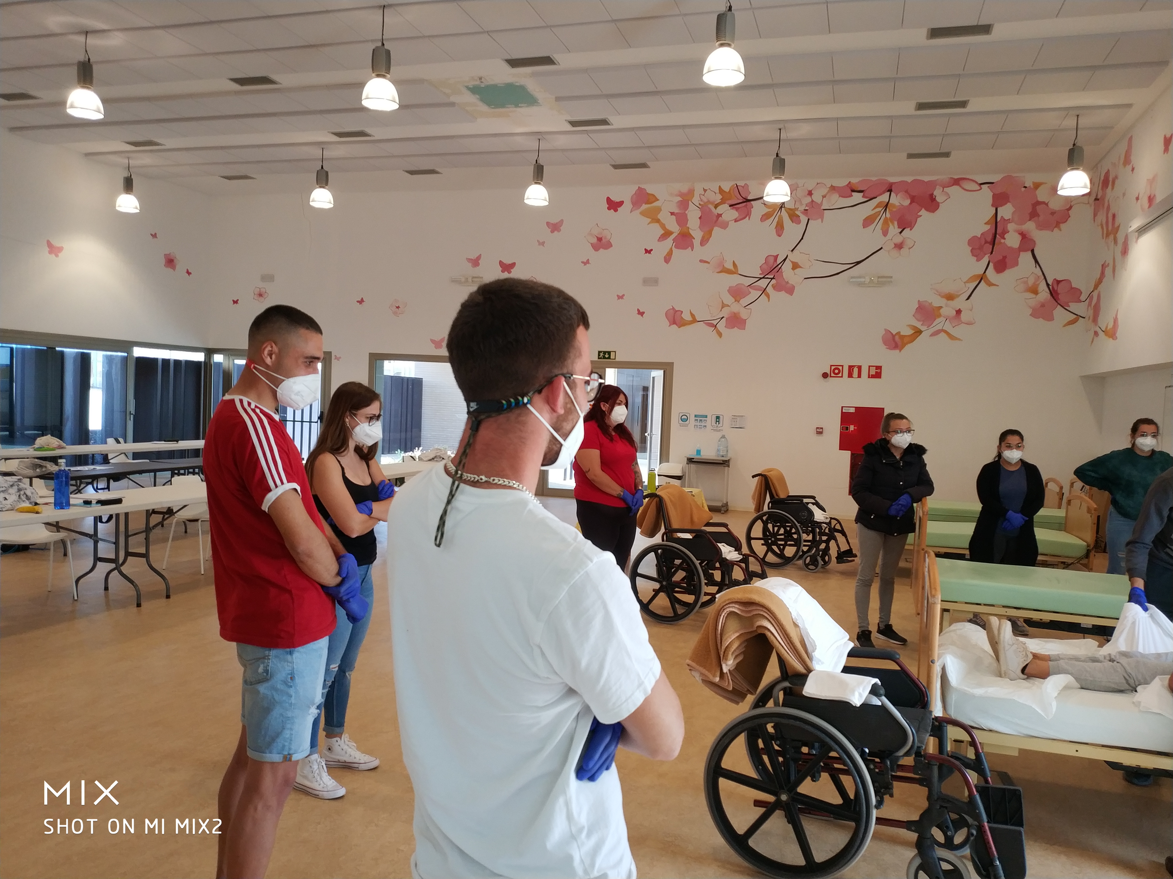 Programa de Formación en Alternancia con el Empleo-Garantía Juvenil del Cabildo de Fuerteventura / CanariasNoticias.es