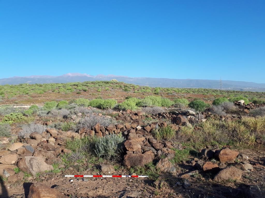 Llanos de Ifara en Granadilla de Abona (Tenerife) / CanariasNoticias.es