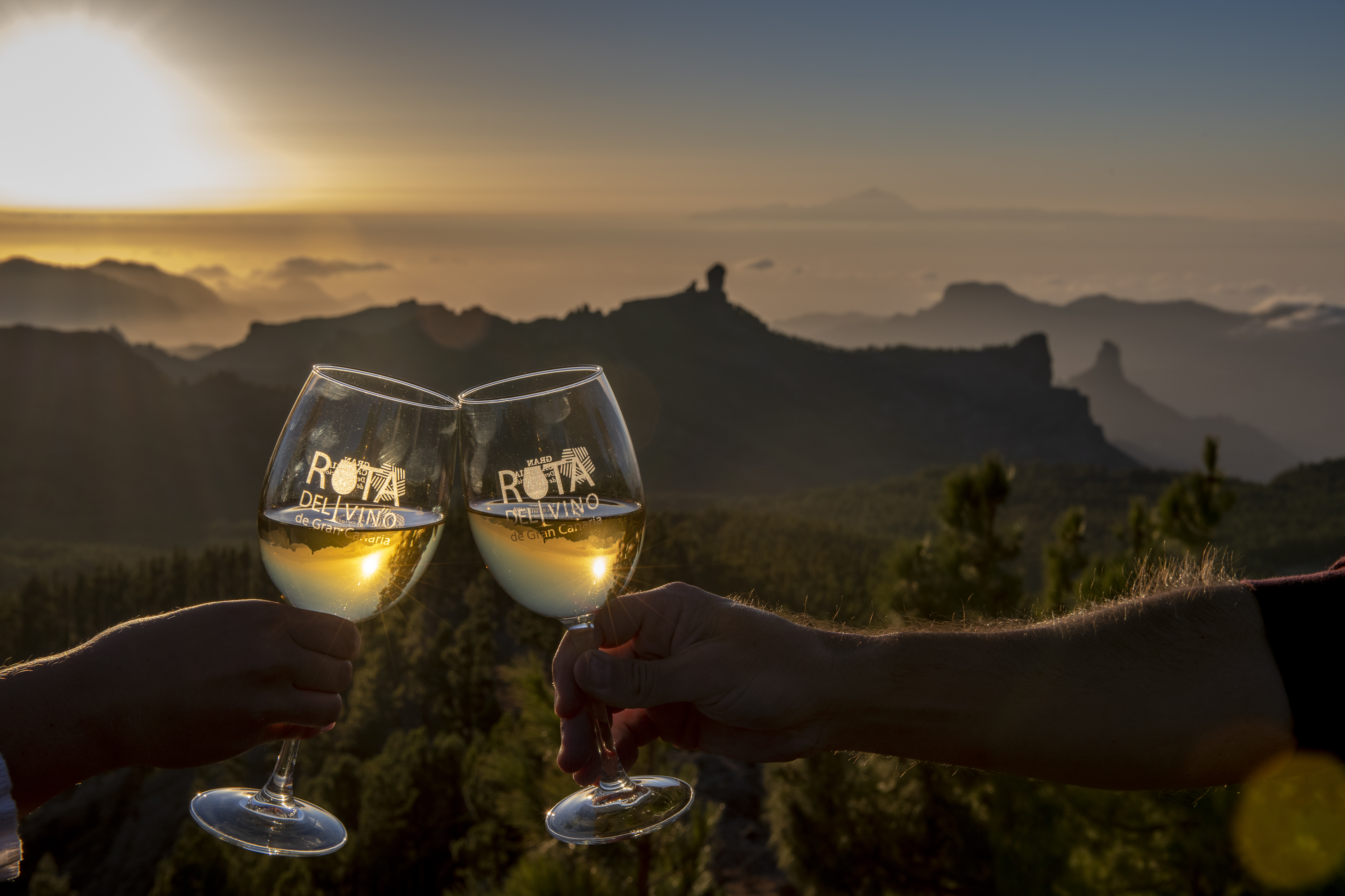 Gran Canaria se incorpora a las Rutas del Vino de España Gran Canaria se incorpora a las Rutas del Vino de España