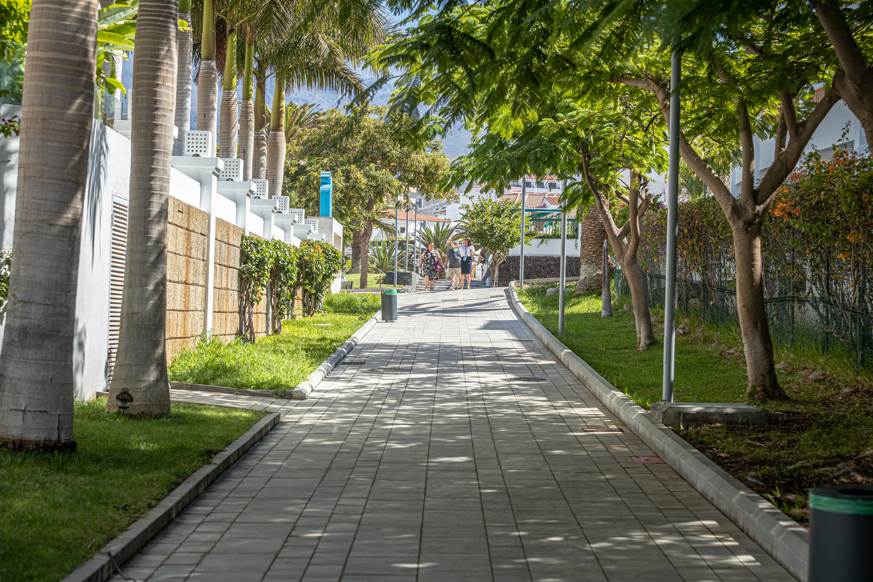 Visita a los paseos peatonales de Costa Adeje (Tenerife) / CanariasNoticias.es