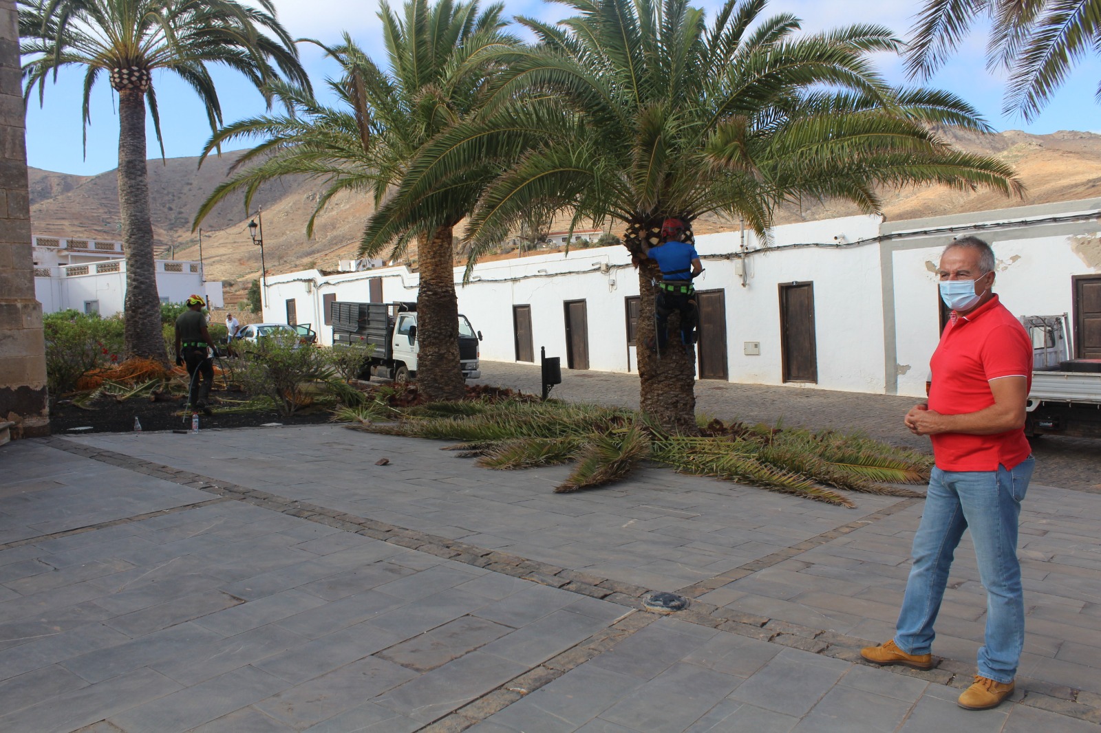 Acondicionamiento de Vega de Río Palmas en Betancuria (Fuerteventura) / CanariasNoticias.es