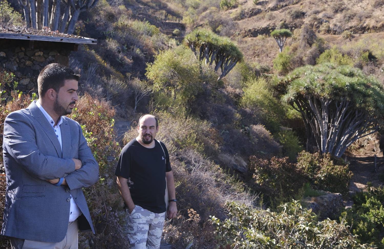 El Cabildo de La Palma lleva la electricidad a Buracas en Garafía (La Palma) / CanariasNoticias.es El Cabildo de La Palma lleva la electricidad a Buracas en Garafía (La Palma) / CanariasNoticias.es