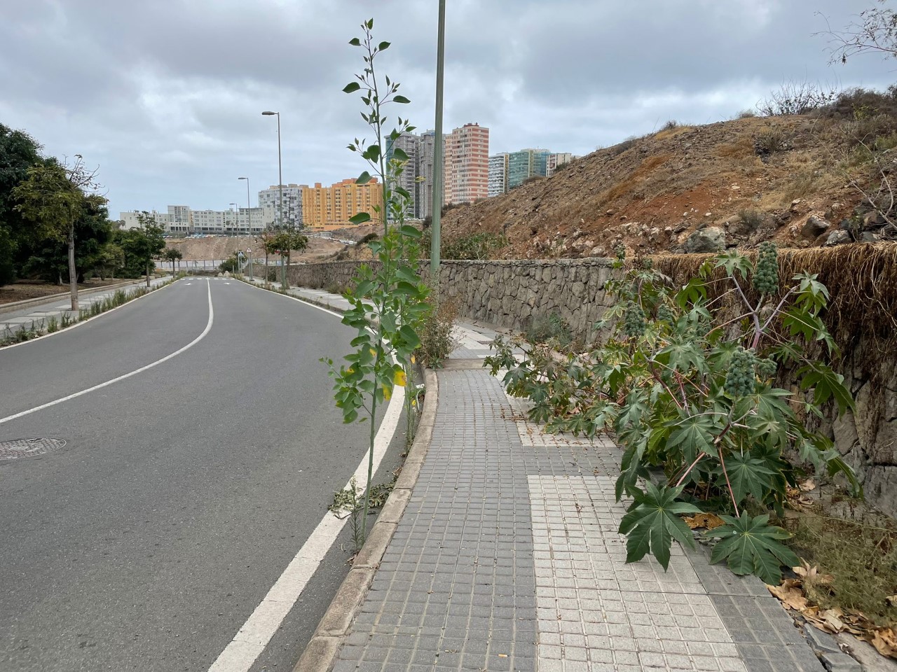 Suciedad y abandono en Las palmas de Gran Canaria/ canariasnoticias