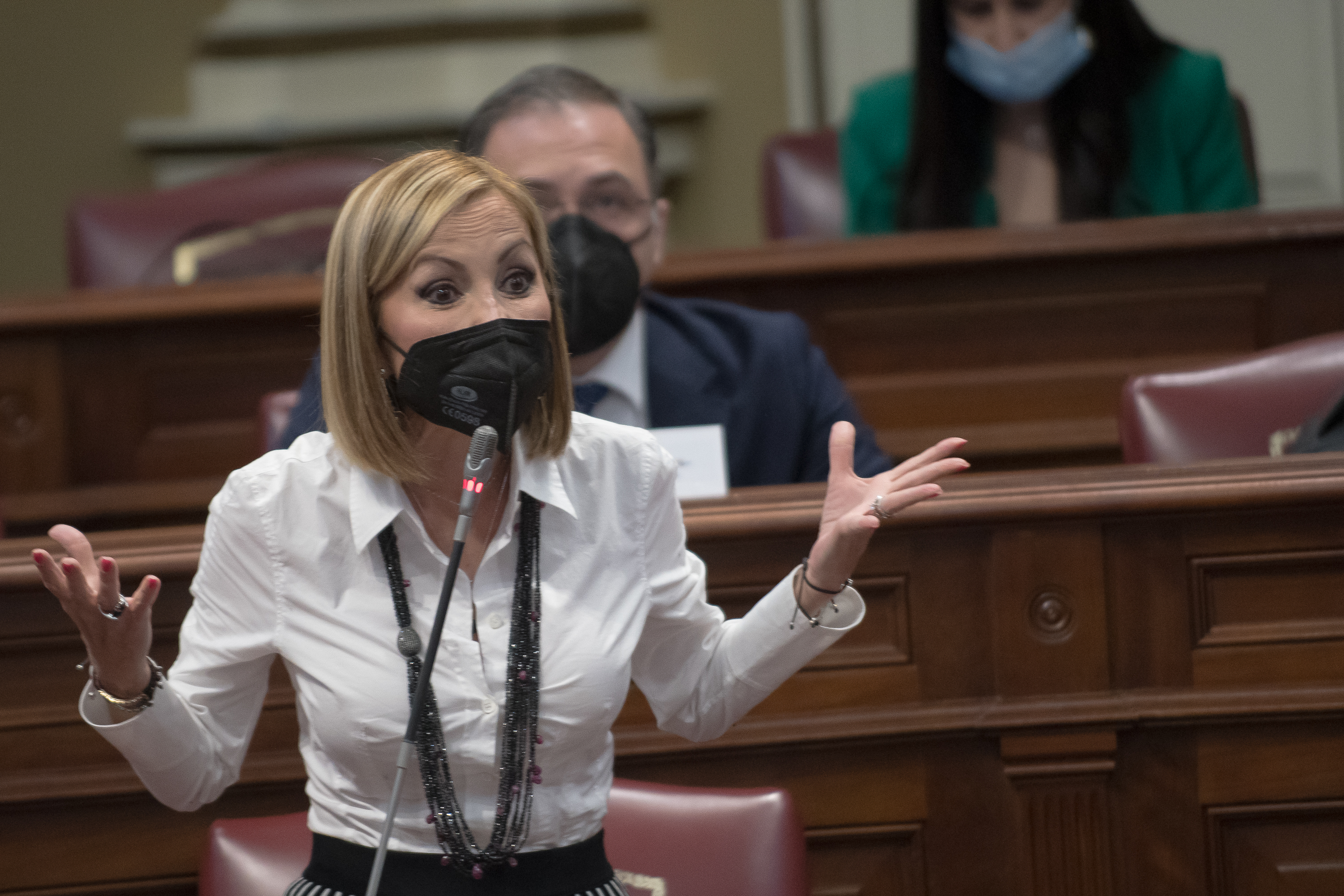 Australia Navarro, Presidenta del Partido Popular de Canarias / CanariasNoticias.es Australia Navarro, Presidenta del Partido Popular de Canarias / CanariasNoticias.es