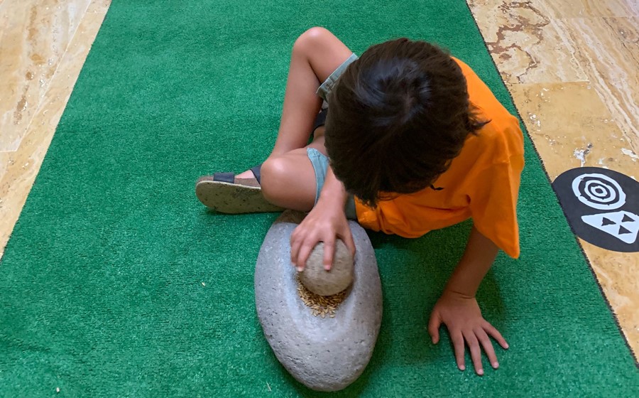 Taller «Una buena cosecha. Lo celebramos moliendo gofio» 