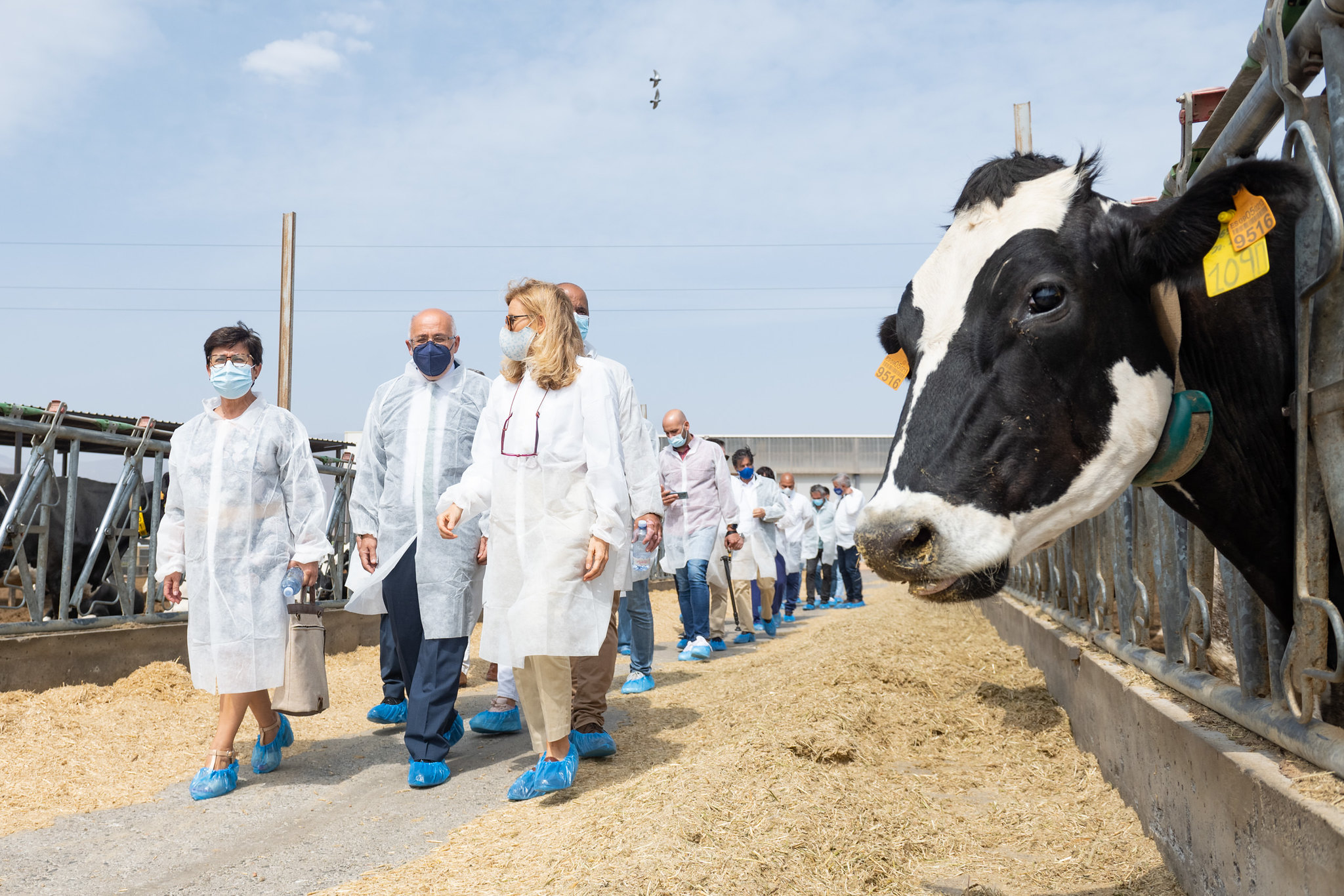 Leche Sandra abre su granja en Agüimes / CanariasNoticias.es