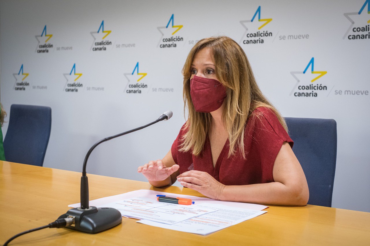 Rosa Dávila, diputada autonómica de CC-PNC / CanariasNoticias.es Rosa Dávila, diputada autonómica de CC-PNC / CanariasNoticias.es