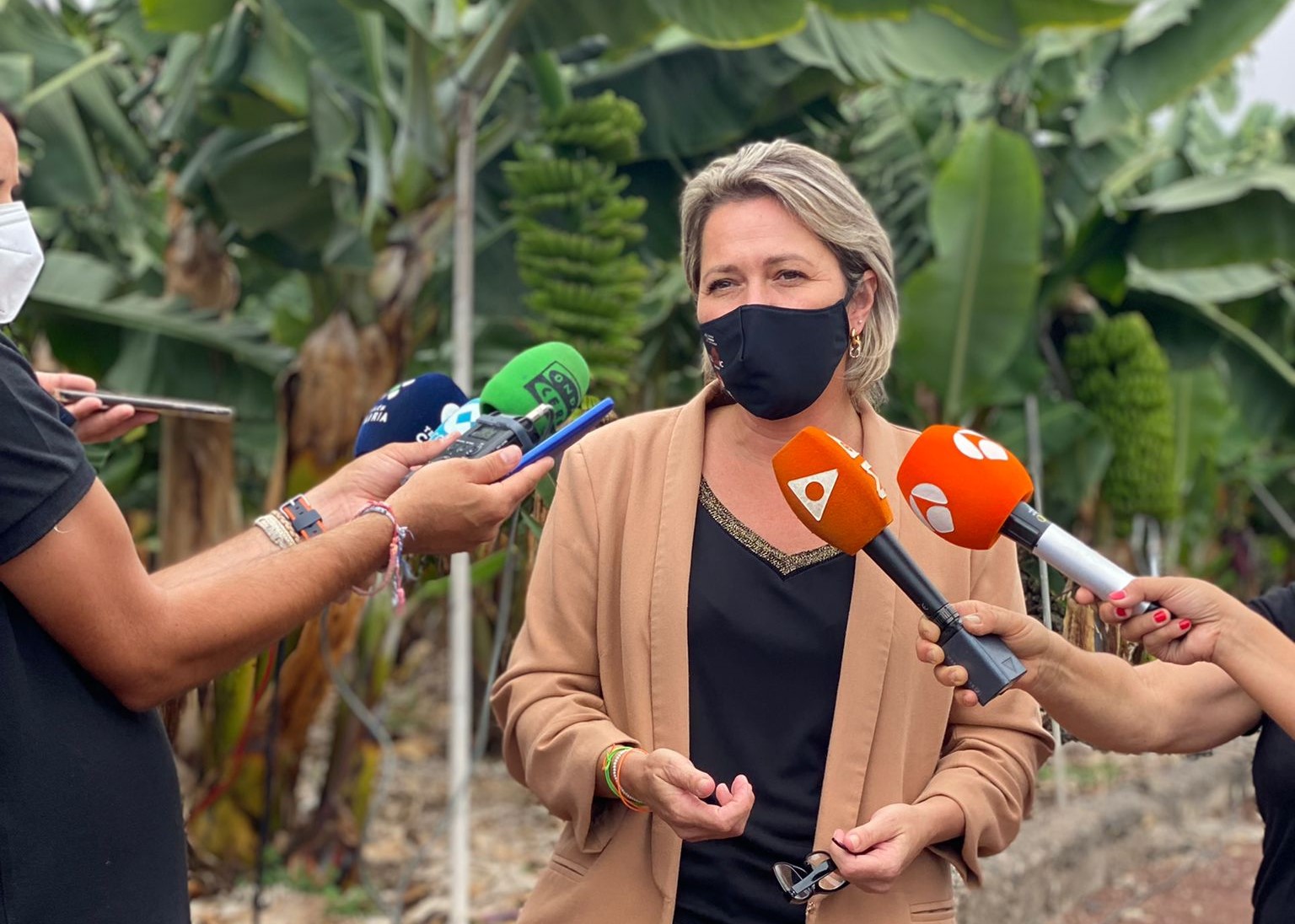 Alicia Vanoostende, consejera de Agricultura, Ganadería y Pesca del Gobierno de Canarias / CanariasNoticias.es Alicia Vanoostende, consejera de Agricultura, Ganadería y Pesca del Gobierno de Canarias / CanariasNoticias.es