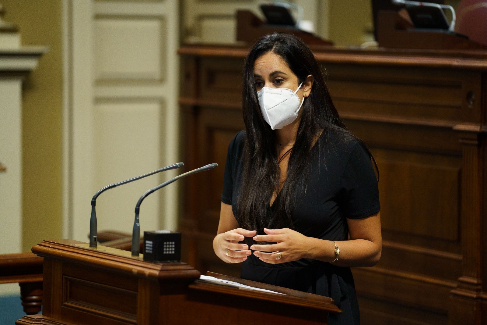 Vidina Espino, en el Parlamento de Canarias / CanariasNoticias.es Vidina Espino, en el Parlamento de Canarias / CanariasNoticias.es