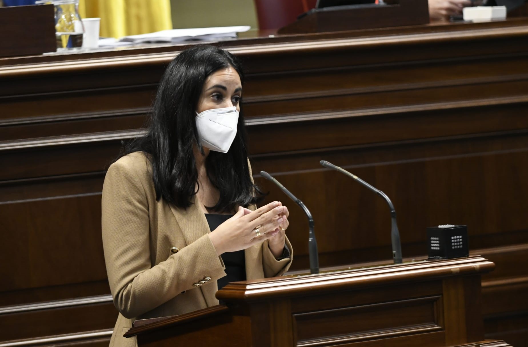 Vidina Espino, portavoz del Grupo Mixto en el Parlamento de Canarias / CanariasNoticias.es