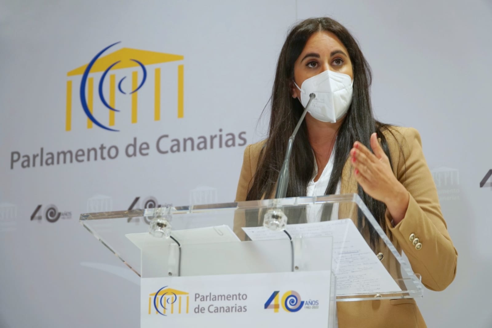 Vidina Espino, portavoz del Grupo Mixto en el Parlamento de Canarias / CanariasNoticias.es