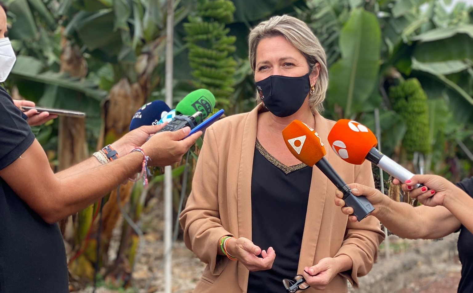 Alicia Vanoostende, consejera de Agricultura, Ganadería y Pesca del Gobierno de Canarias / CanariasNoticias.es Alicia Vanoostende, consejera de Agricultura, Ganadería y Pesca del Gobierno de Canarias / CanariasNoticias.es