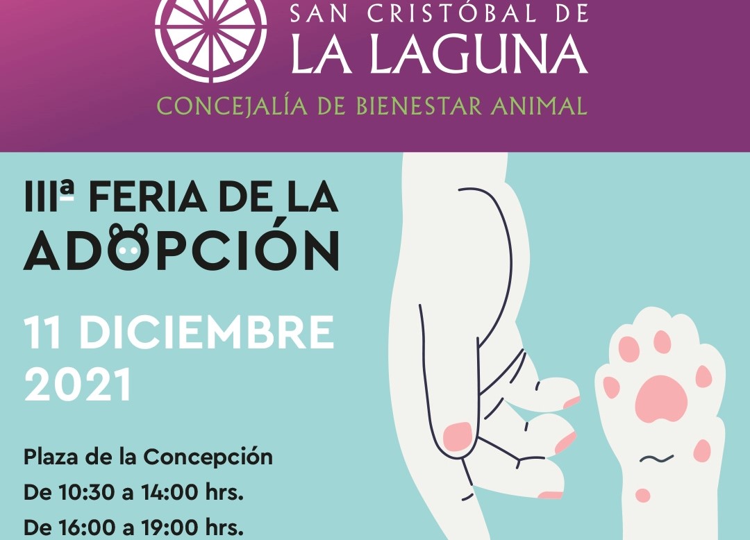 Feria de la Adopción de La Laguna / CanariasNoticias.es