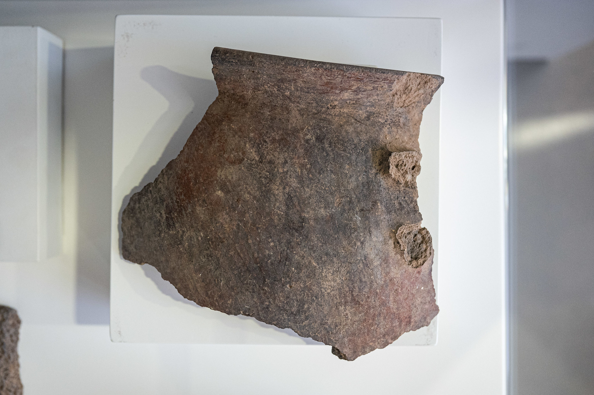El Cabildo de Gran Canaria recupera más de un millar de bienes arqueológicos de gran valor patrimonial en el yacimiento de Guayadeque / CanariasNoticias.es
