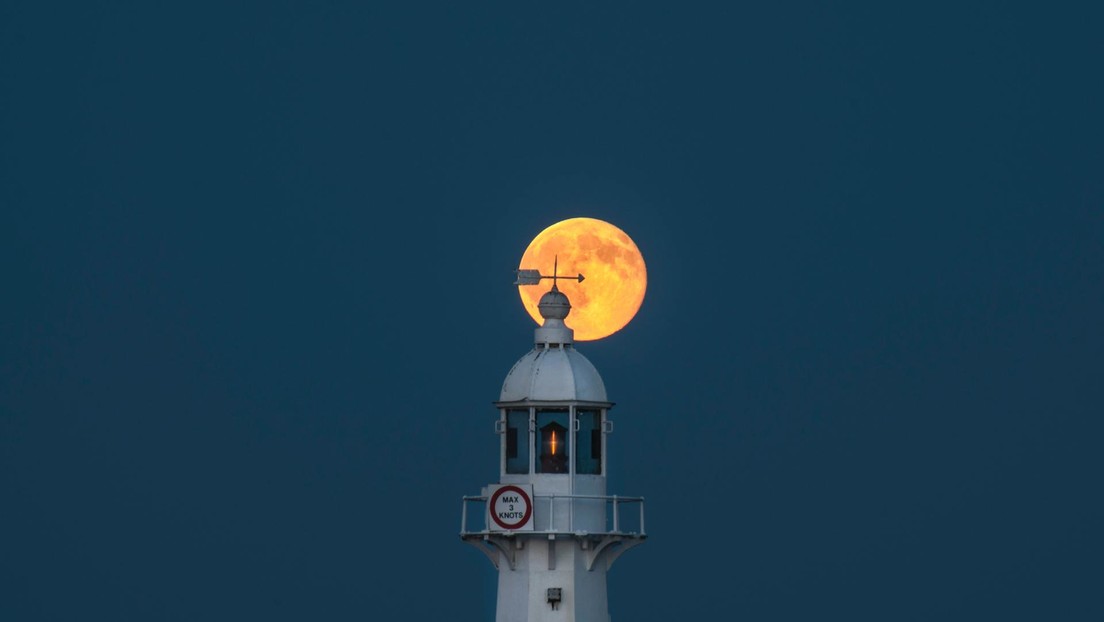 Imagen ilustrativa / Pexel Luna