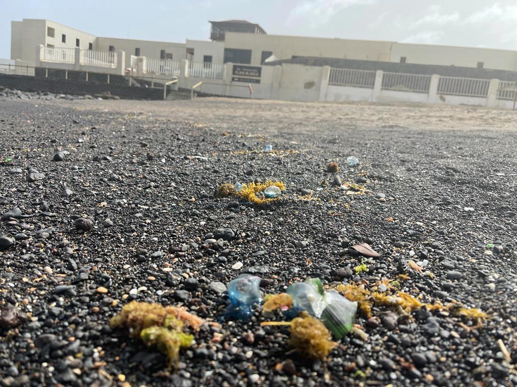 Medusas tóxicas en playas de Puerto del Rosario / CanariasNoticias.es 