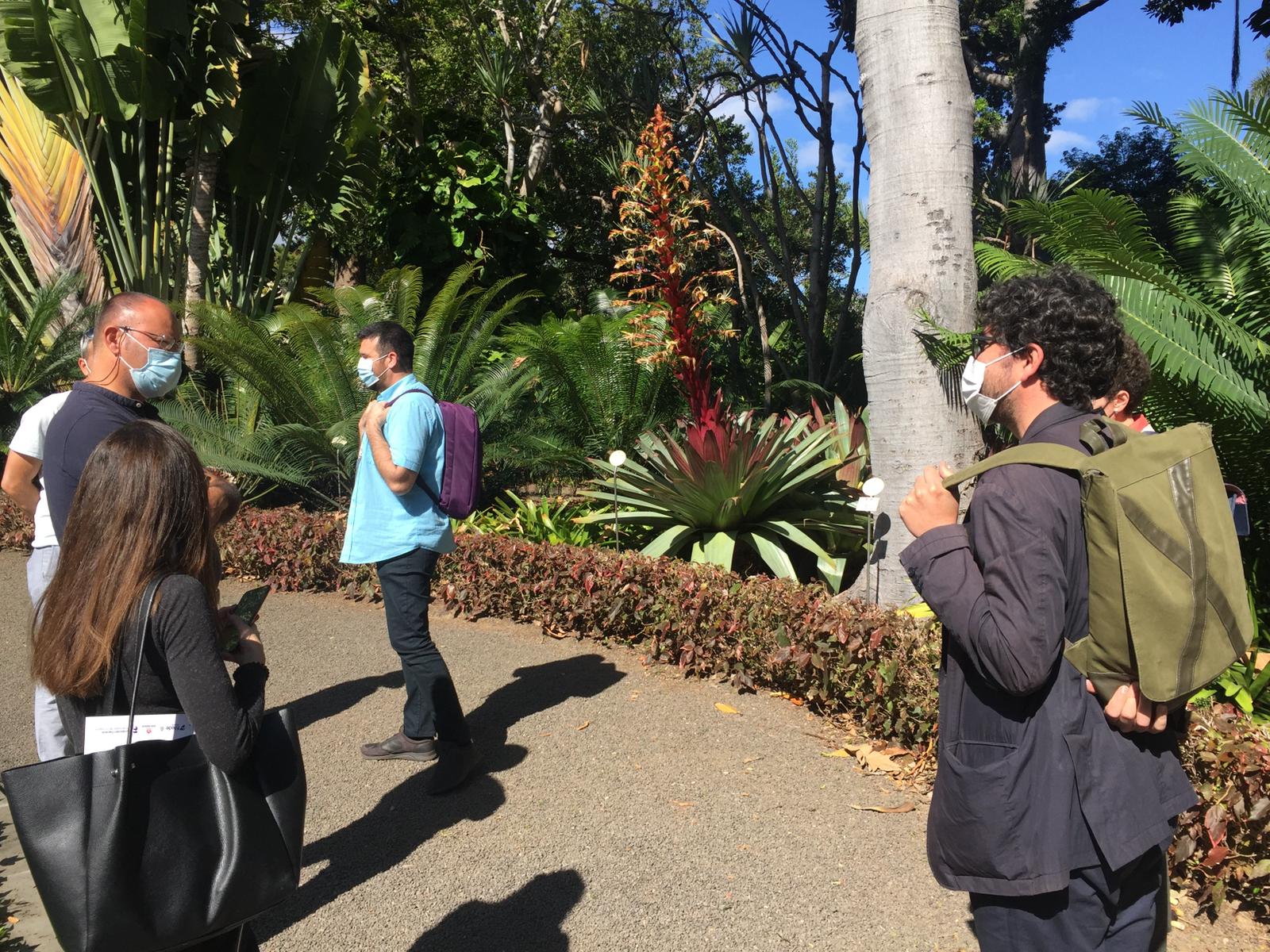 Puerto de la Cruz cartografía la botánica del municipio / CanariasNoticias.es