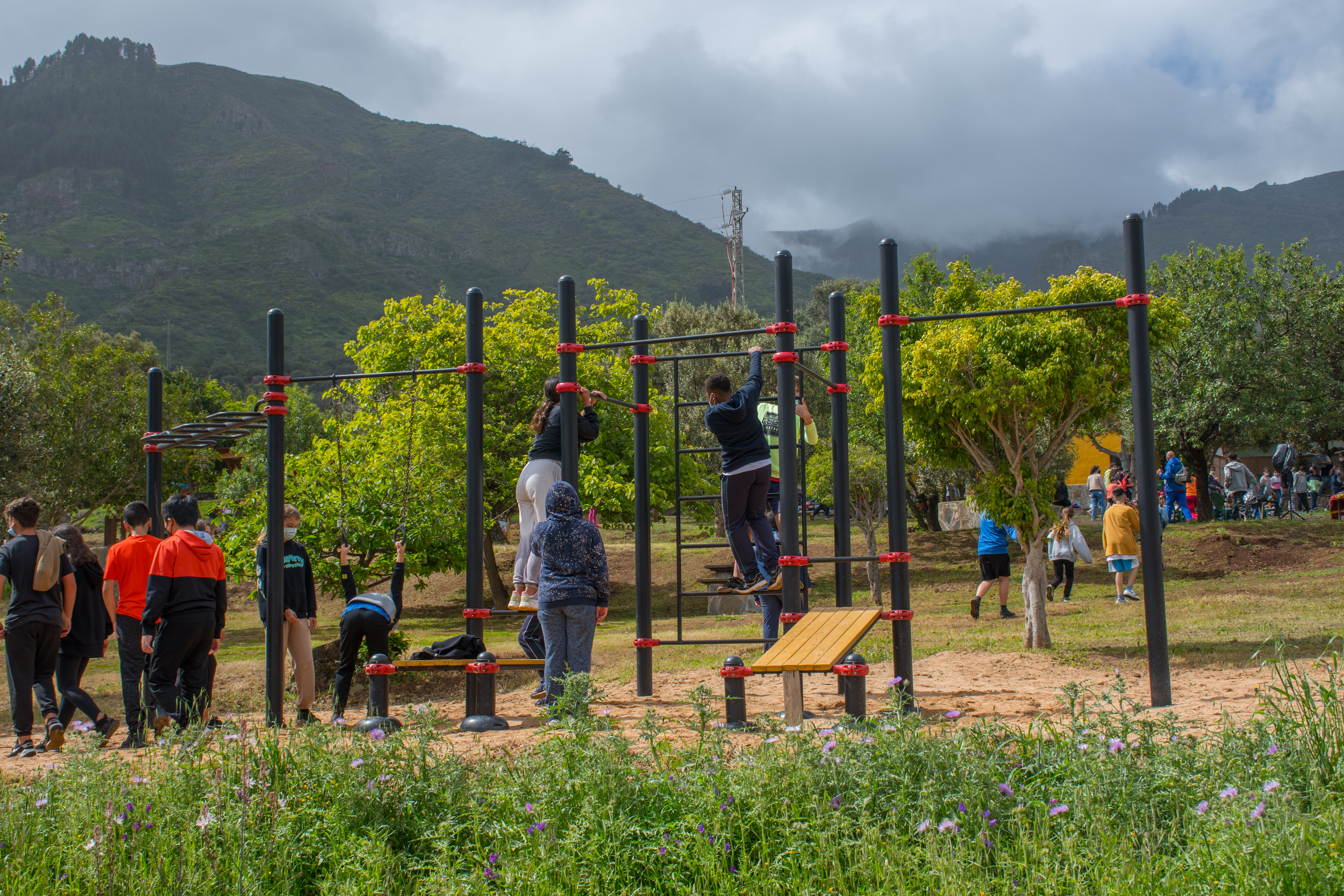 Escolares de Valsequillo en el Área Recreativa “El Troncón” / CanariasNoticias.es