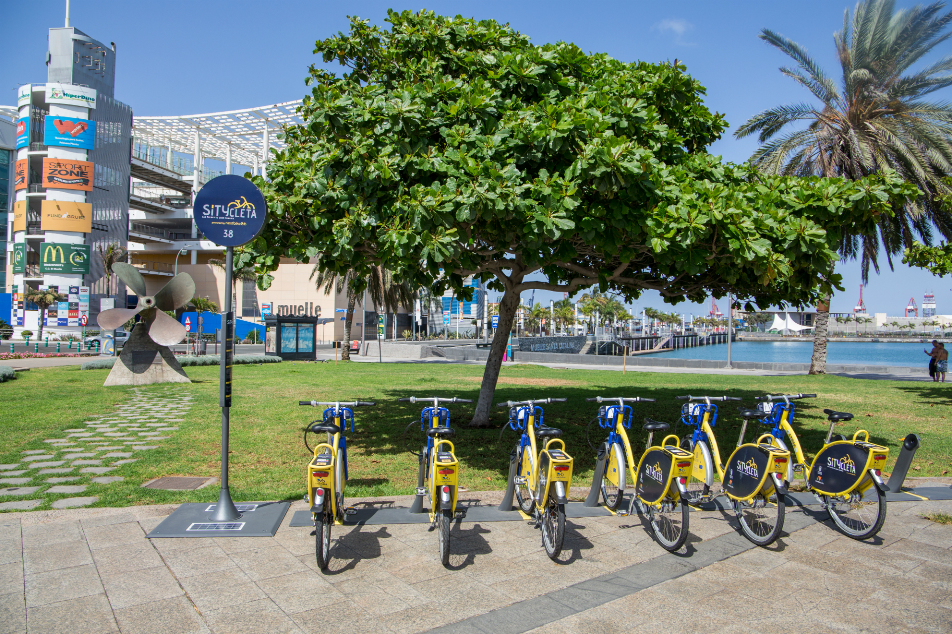 Sitycletas en Las Palmas de Gran Canaria / CanariasNoticias.es Sitycletas en Las Palmas de Gran Canaria / CanariasNoticias.es