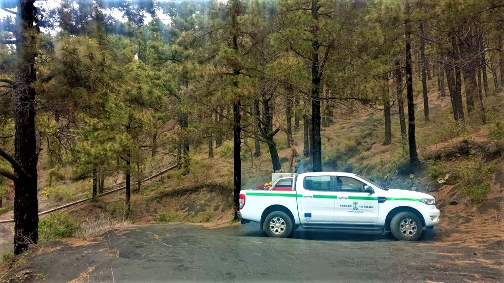 Pista forestal Fran Santana en La Palma / CanariasNoticias.es