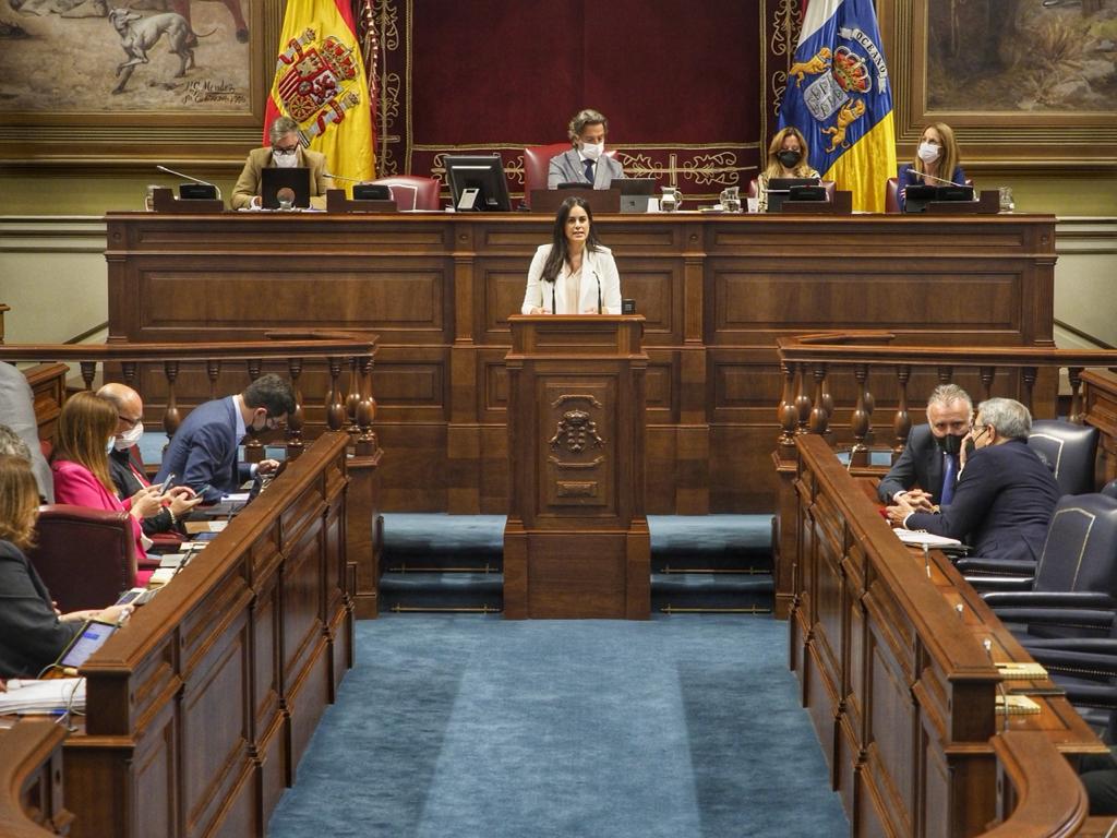 Vidina Espino, en el Parlamento de Canarias / CanariasNoticias.es