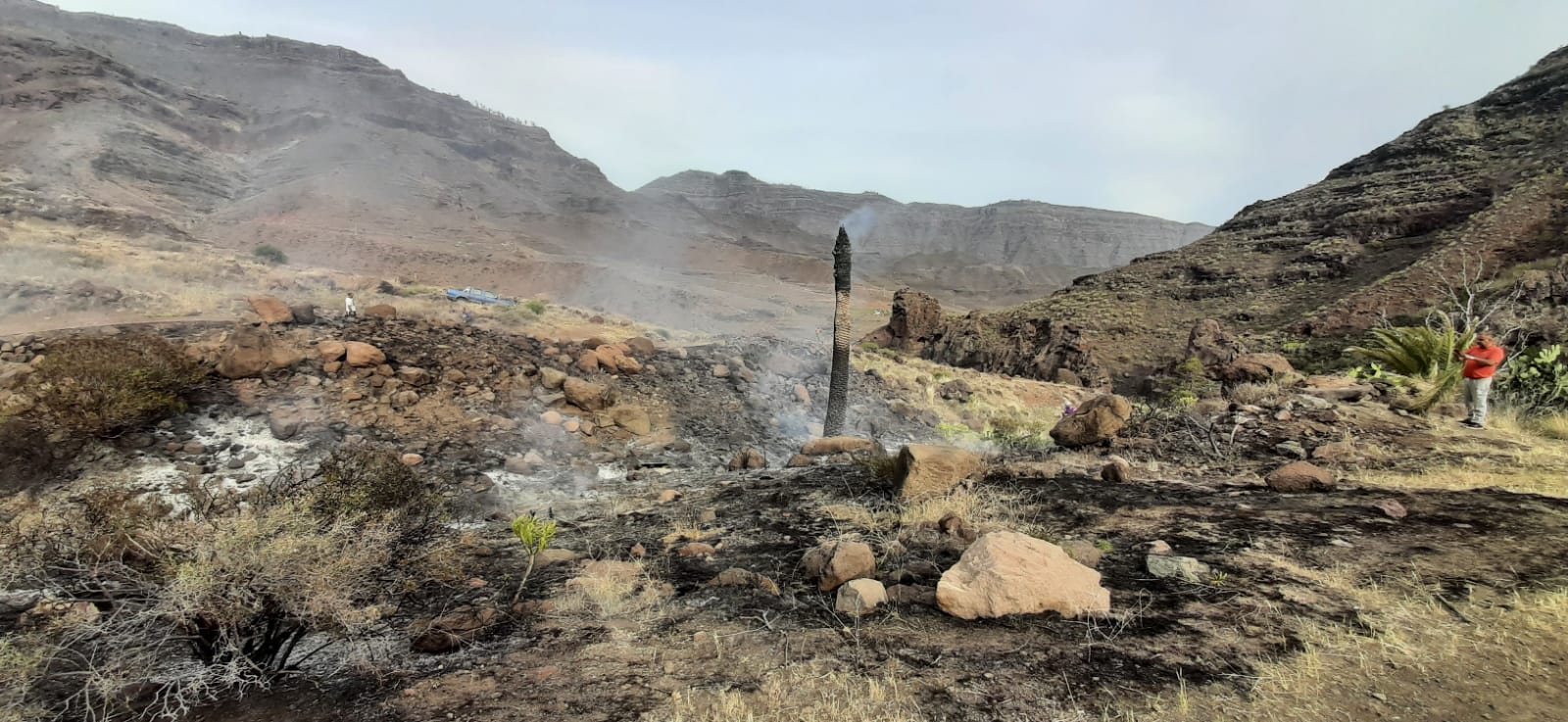 Conato de incendio en Veneguera en Mogán (Gran Canaria) / CanariasNoticias.es Conato de incendio en Veneguera en Mogán (Gran Canaria) / CanariasNoticias.es