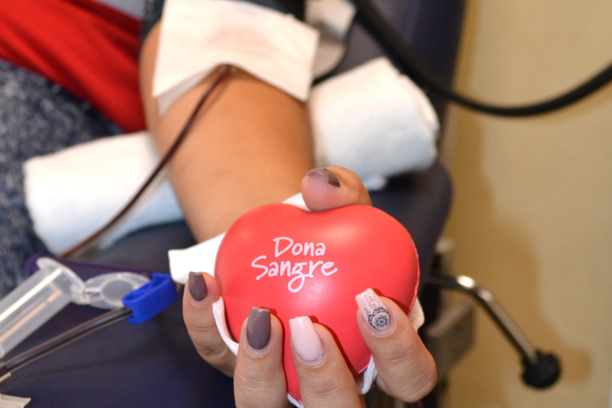 Donante de sangre del ICHH / CanariasNoticias.es Donante de sangre del ICHH / CanariasNoticias.es