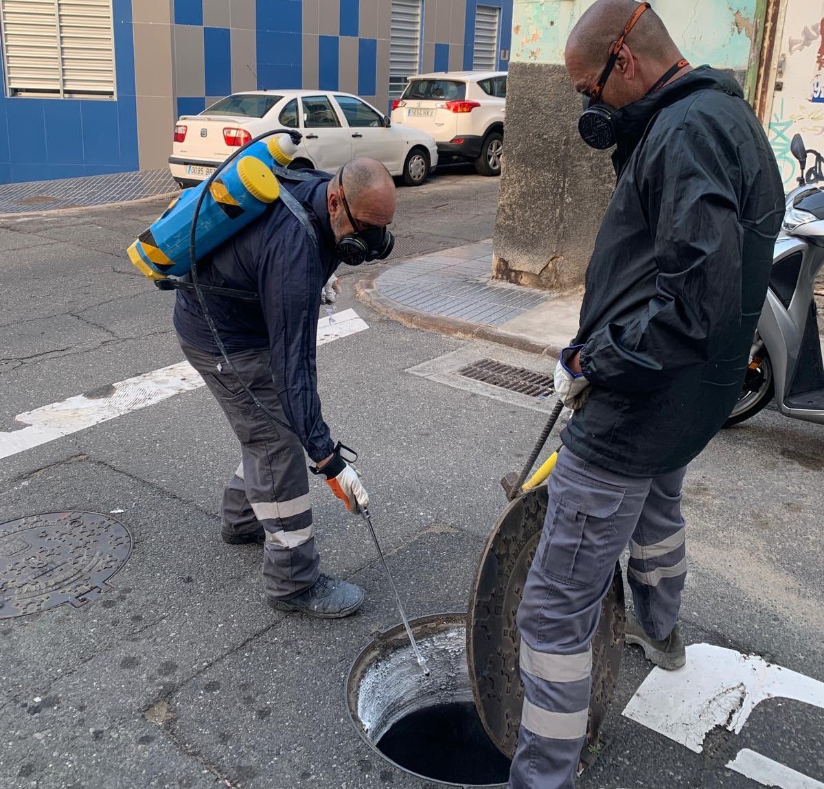 Las Palmas de Gran Canaria acondiciona calles de La Isleta con pintura insecticida / CanariasNoticias.es
