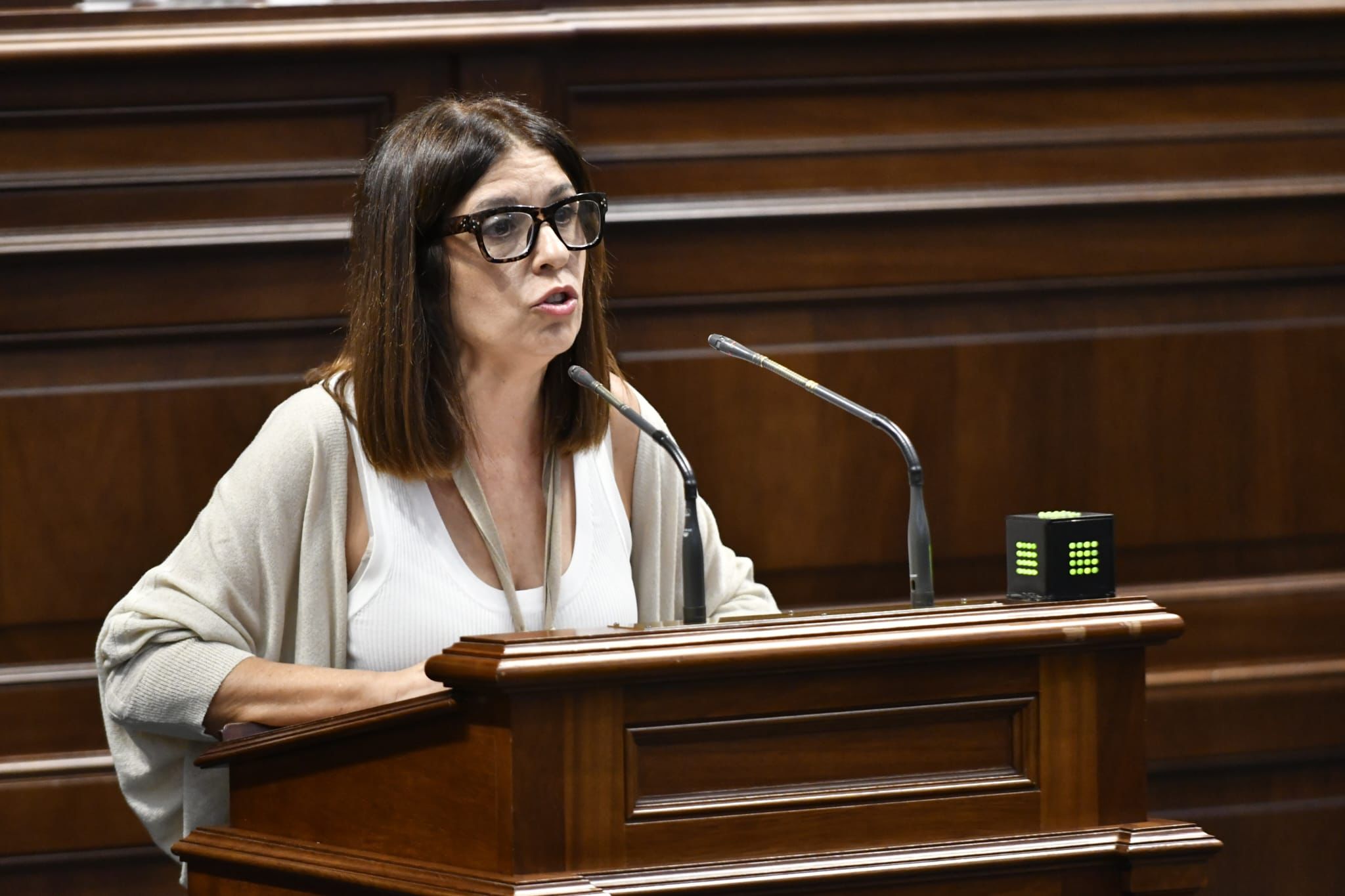 Carmen Hernández en el Parlamento de Canarias / CanariasNoticias.es