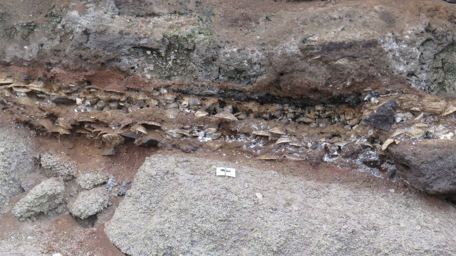 Útiles domésticos de los antiguos habitantes de Gran Canaria en la Cueva de la Playa Chica