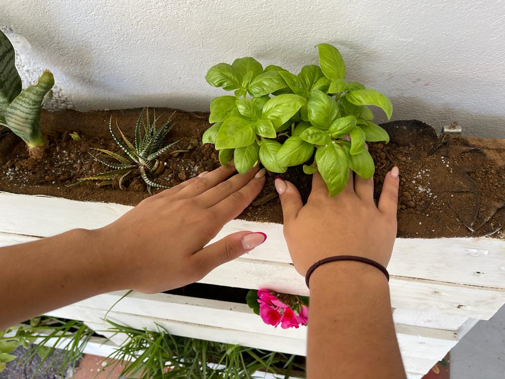Los jóvenes de Valsequillo realizan un jardín vertical / CanariasNoticias.es 