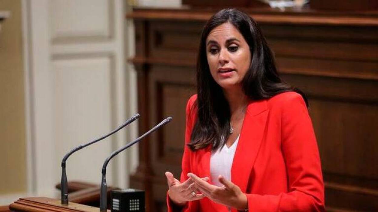 Vidina Espino, en el Parlamento de Canarias / CanariasNoticias.es