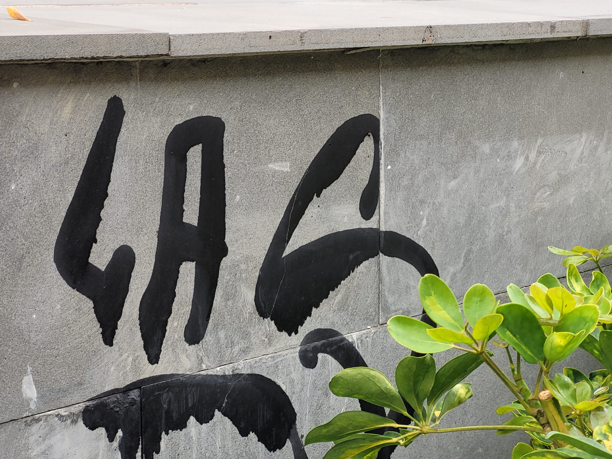 Grafittis en Puerto de la Cruz / CanariasNoticias.es