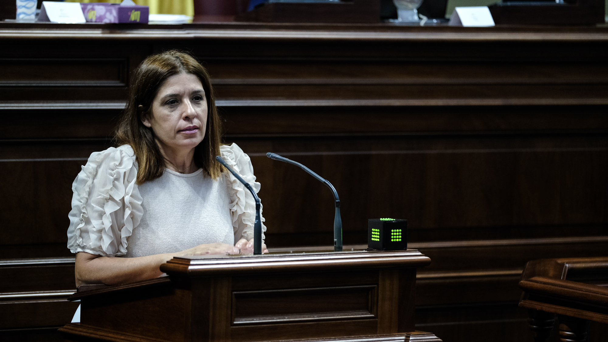 Carmen Hernández en el Parlamento de Canarias / CanariasNoticias.es