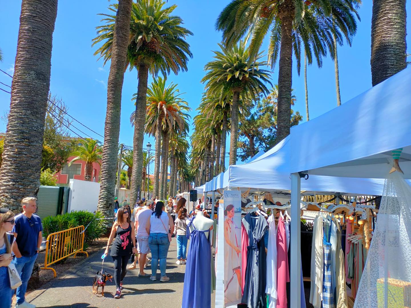 Dreamer Market en La Laguna / CanariasNoticias.es Dreamer Market en La Laguna / CanariasNoticias.es