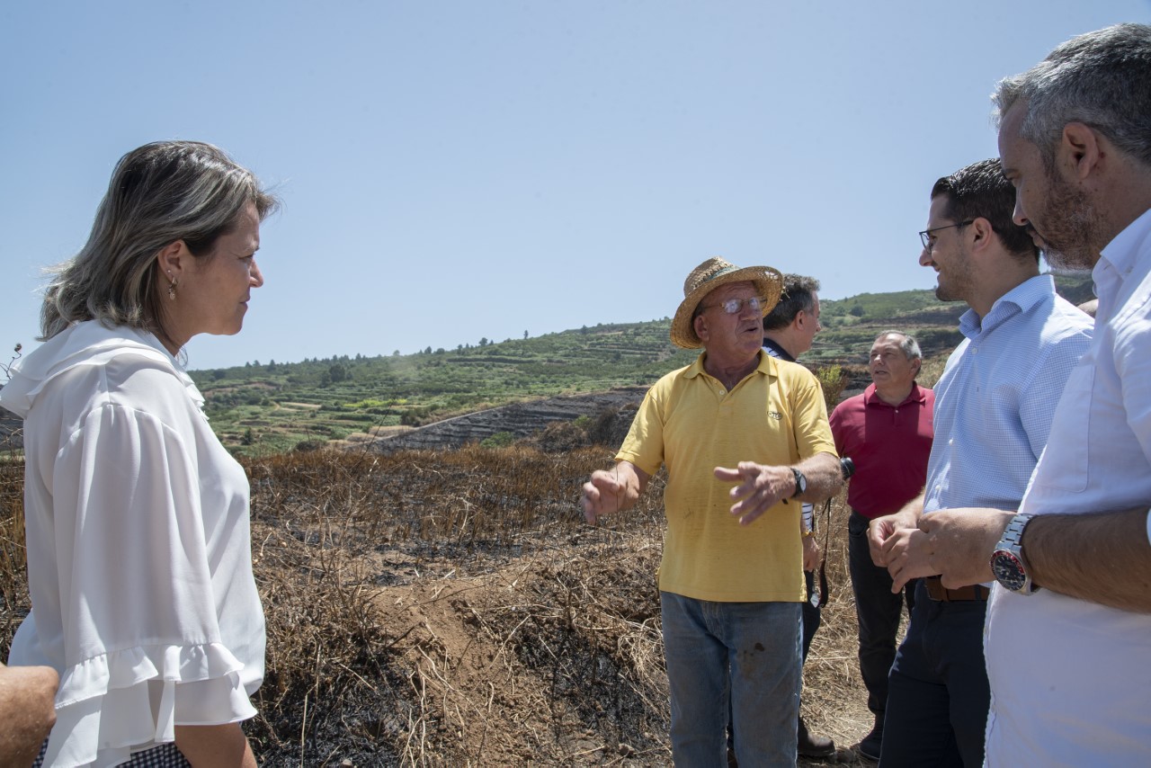 Vanoostende visita las zonas agrarias de San Juan de la Rambla y Los Realejos afectadas por el incendio