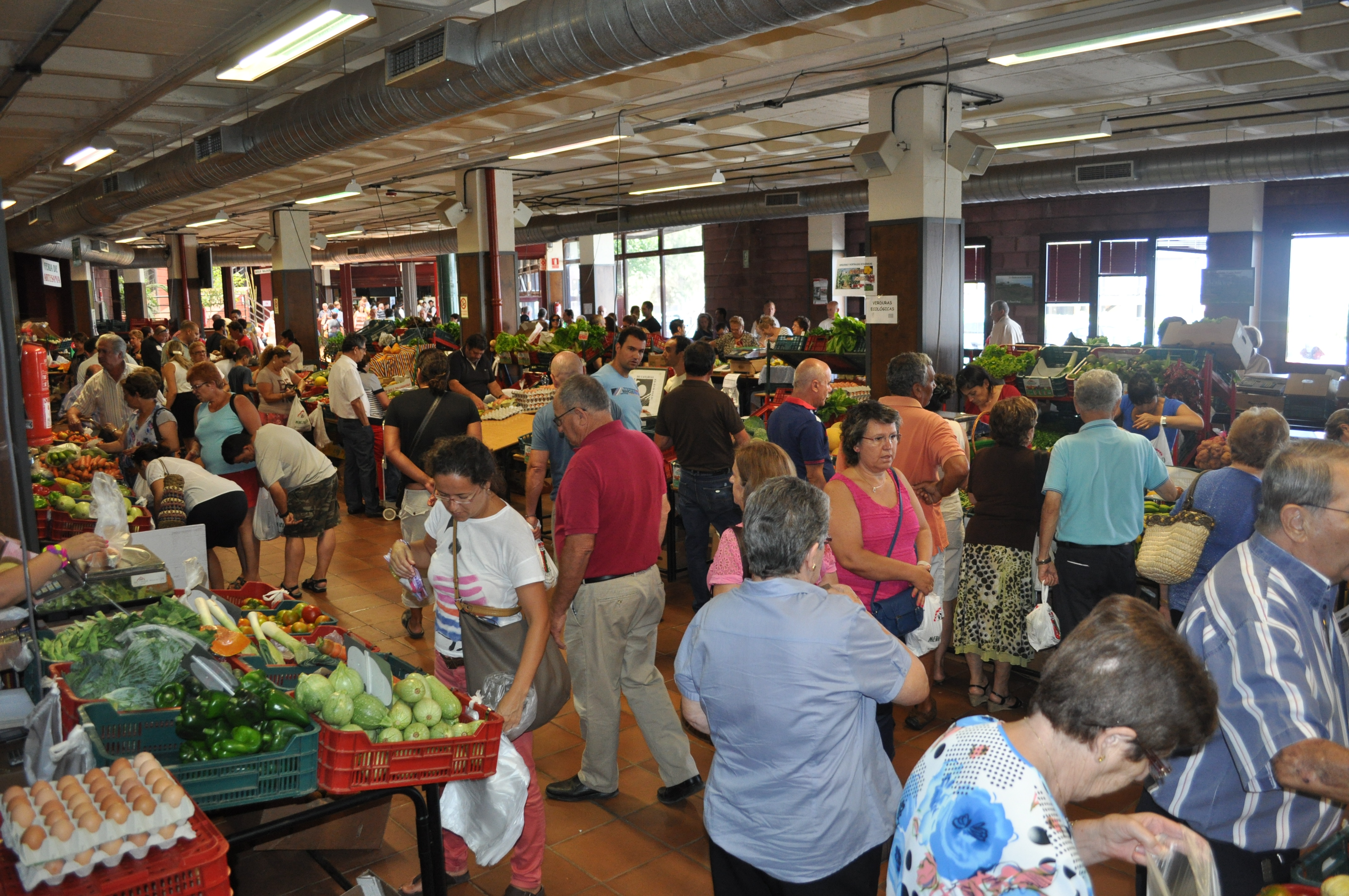 Mercadillo del Agricultor de La Matanza / CanariasNoticias.es 