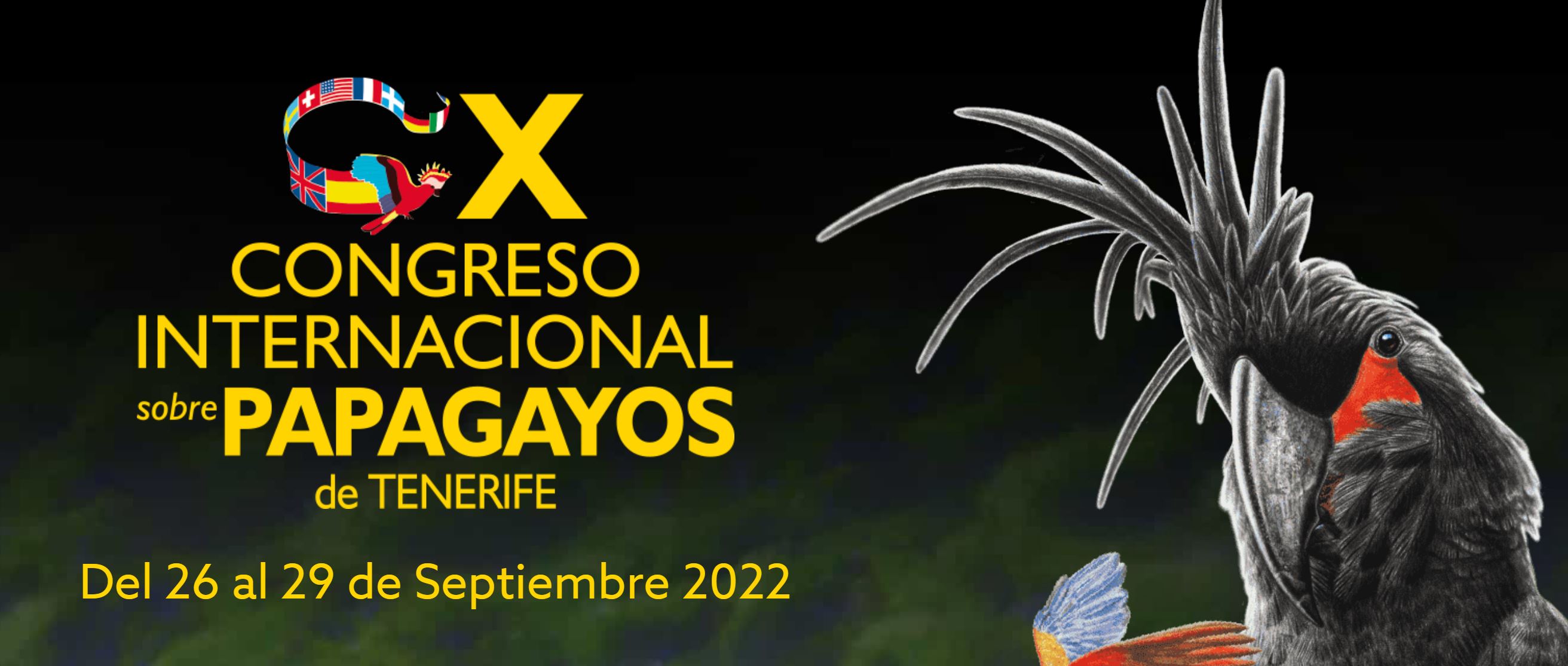X Congreso Internacional de Papagayos de Tenerife