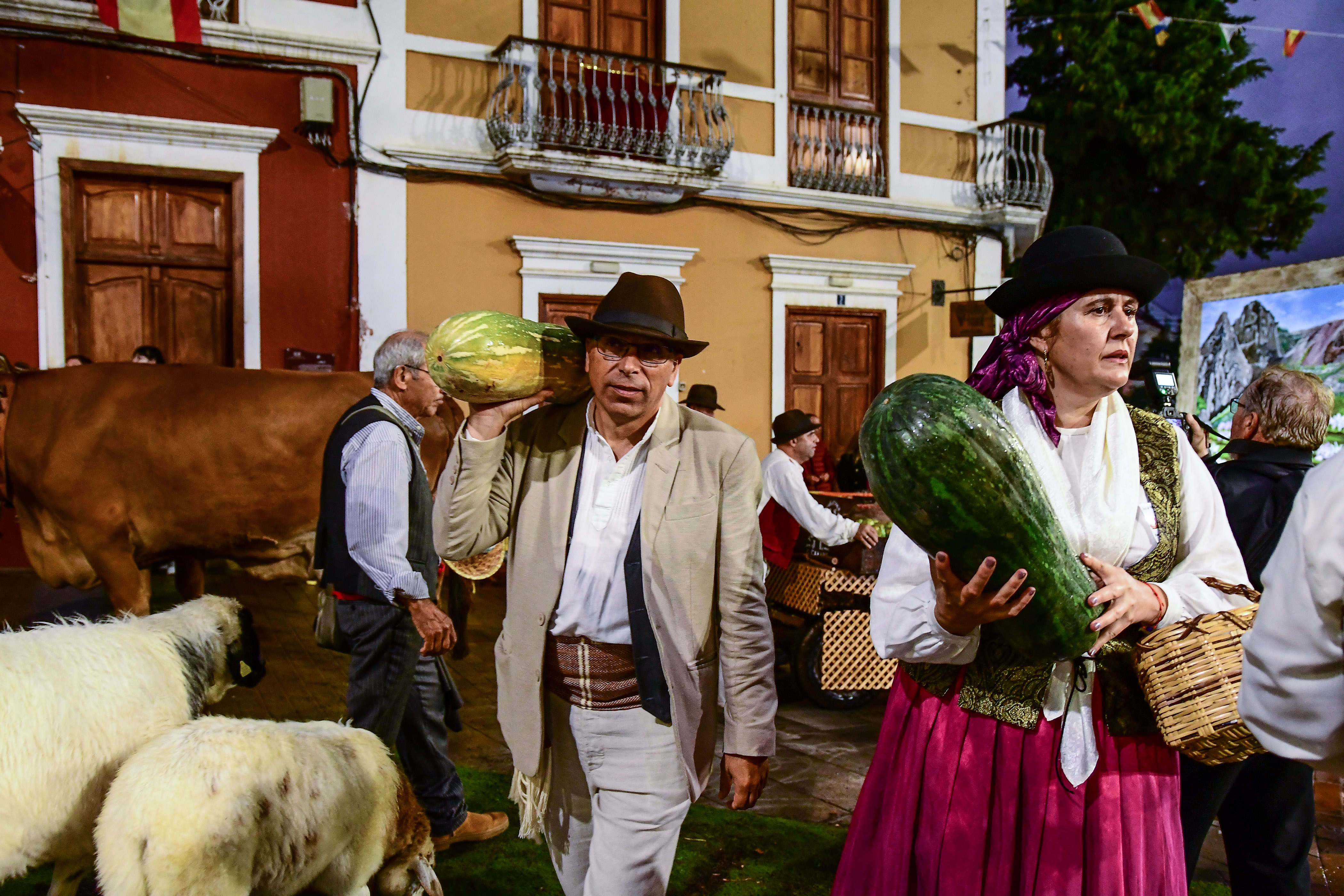 Romería Ofrenda en honor a San Miguel en Valsequillo / CanariasNoticias.es